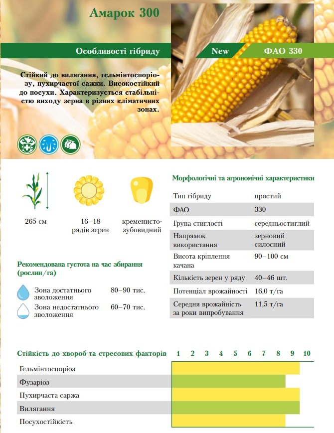 Фото характеристик кукурузы Амарок 300 от ВНИС