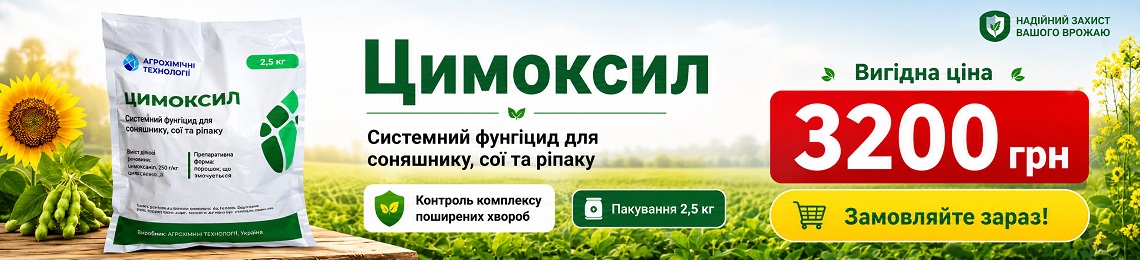 Верхний растяжка