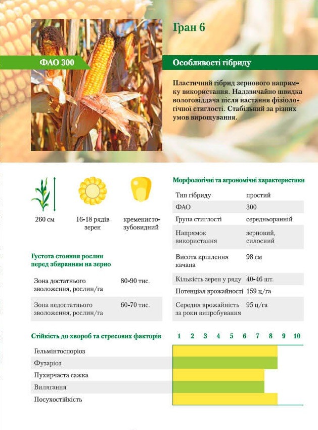 Характеристики кукурудзи ВНІС Гран 6