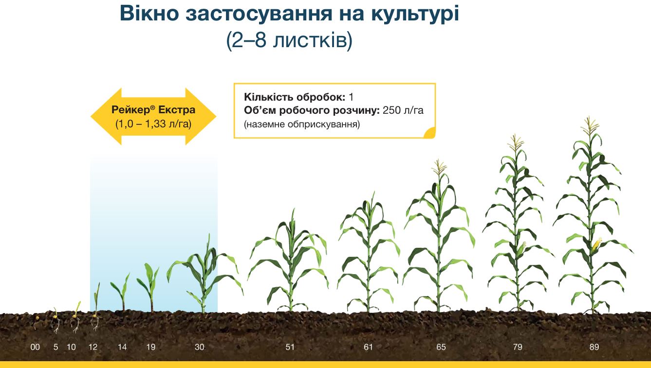 Фаза внесения Рейкер Экстра под кукурузу