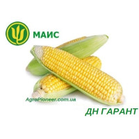 Семена кукурузы ДН Гарант