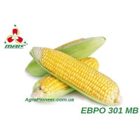 Семена кукурузы Евро 301 МВ