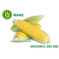 Семена кукурузы Моника 350 МВ