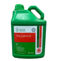 Протруйник Авіценна