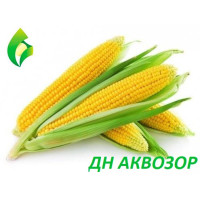 Кукуруза Аквазор