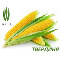 Кукуруза Твердиня