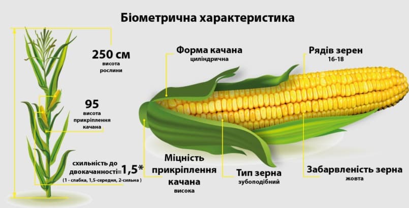 Характеристики ДМС 3111
