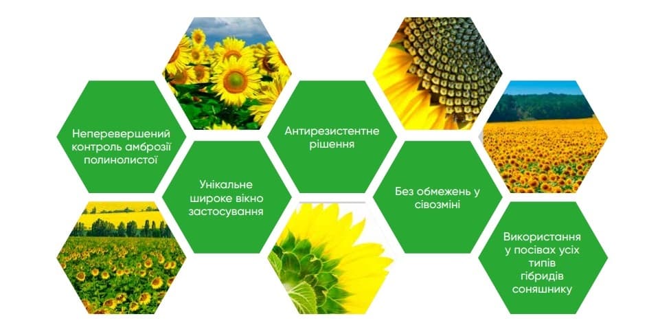 Преимущества применения препарата Гелиантекс