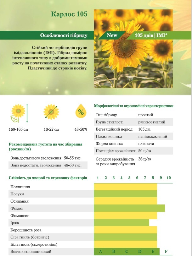 Характеристики гибрида Карлос 105 от ВНИС
