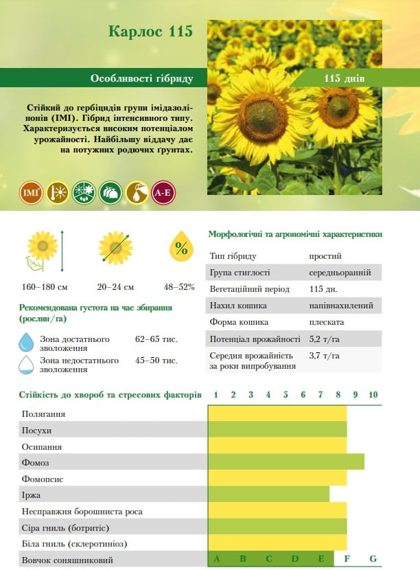 Характеристики гибрида Карлос 115 от ВНИС