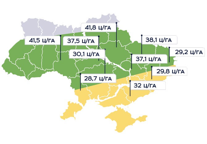 Фото урожайности подсолнечника НС Сумо 2017 по областям Украины