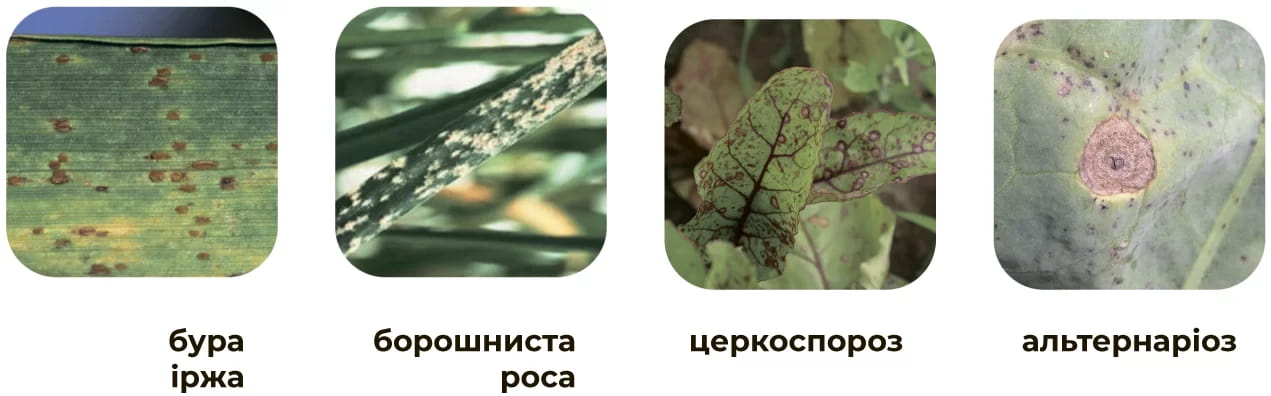 Заболевания которые контролирует Флутривит