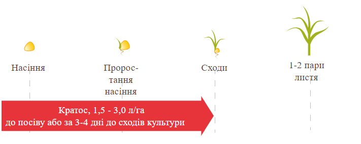 Фото регламент внесення Кратоса на кукурудзі