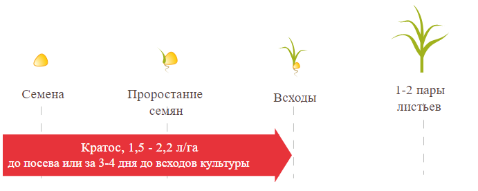 Фото регламент внесения Кратоса на кукурузе