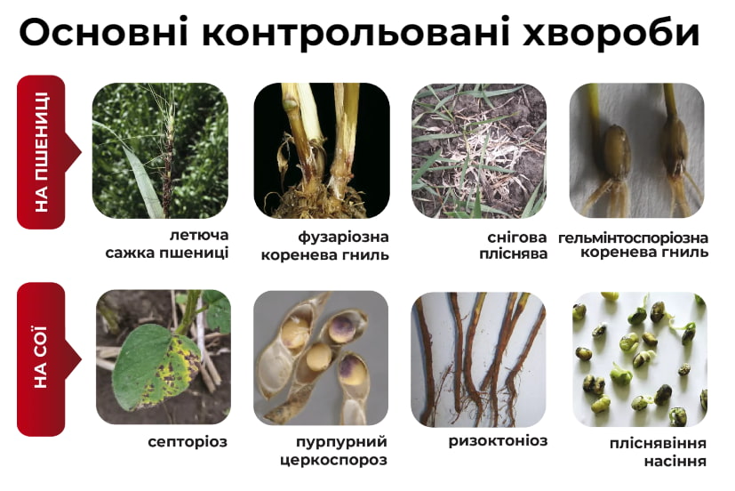 Основные болезни, которые контролирует Кватрофорс